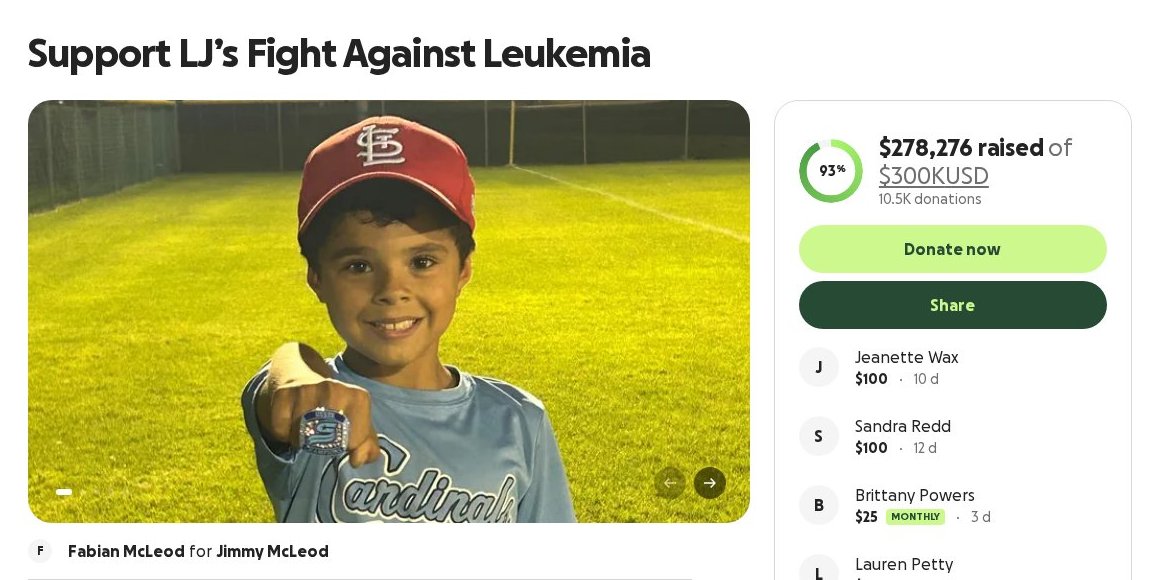 Screenshot of the Support LJ's Fight Against Leukemia campaign page on GoFundMe
